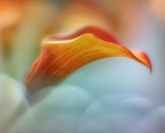 Discovering creativity with Lensbaby Omni Reflections