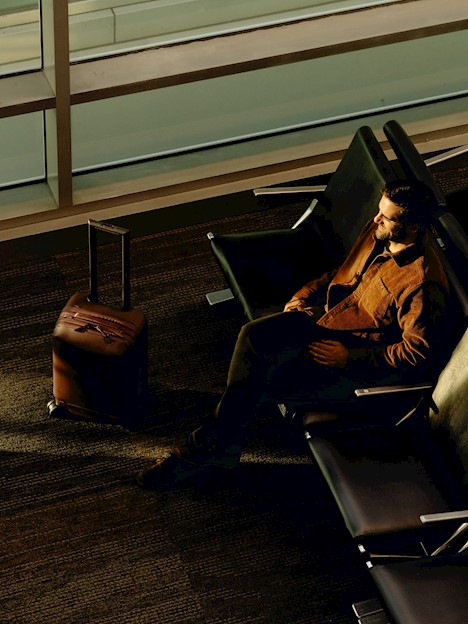 Peak Design Roller Pro Carry-On