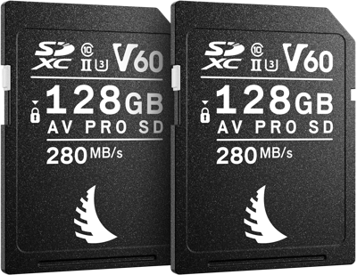 SD Match Pack for Canon AV PRO V60 MK2 128GB | 2 PACK 