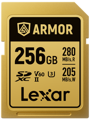 SDXC ARMOR Gold UHS-II U3, Stainless Steel, IP68 R280/W210 (V60) 256GB 