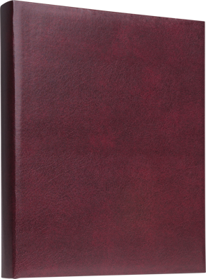 Prestige Ringbinder Red