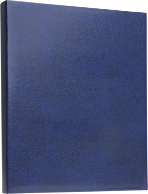 Prestige Ringbinder Blue