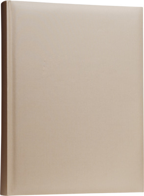 Ritz Super 300 10x15 Beige