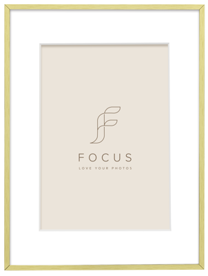 Aster Gold 40x50/PP 30x40