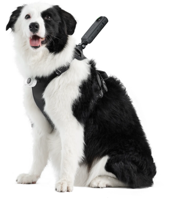 Pet Harness Mount Size L