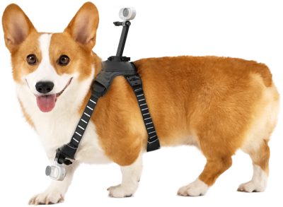 Pet Harness Mount Size M
