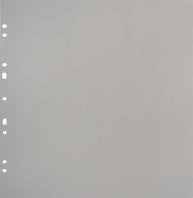 Carton Refillsheets for Ringbinder Gigant Grey 10-pack