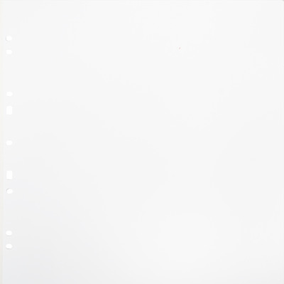 Carton Refillsheets for Ringbinder Gigant White 10-pack