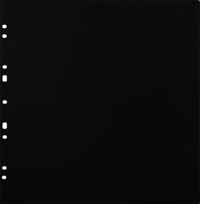 Carton Refillsheets for Ringbinder Gigant Black 10-pack