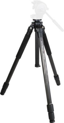 Ardea CF (w/o head)