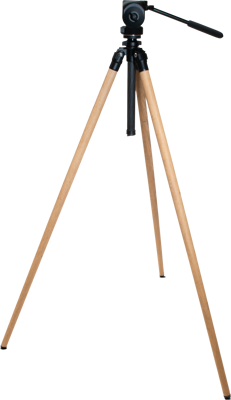 Ardea Natural Oak - architectural wooden tripod