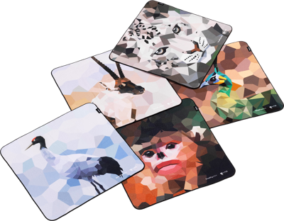 6044 Camera Wrap 5-in-1 Set Wild China Film Series