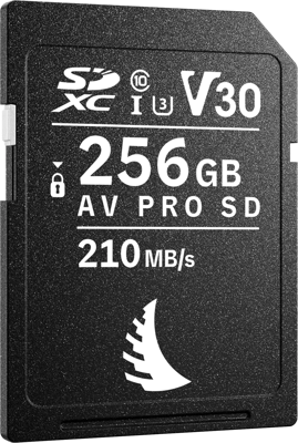 SD AV PRO SD MK2 R210/W140 (V30) 256GB