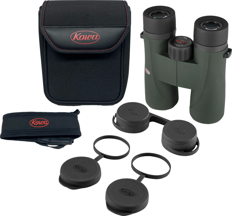 12_138055.png